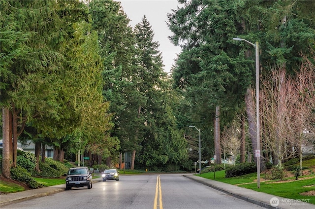 view of road featuring curbs, sidewalks, and street lights