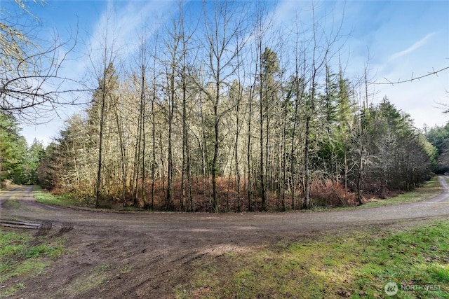 8211 128th Avenue Ct, Anderson Island WA, 98303 land for sale