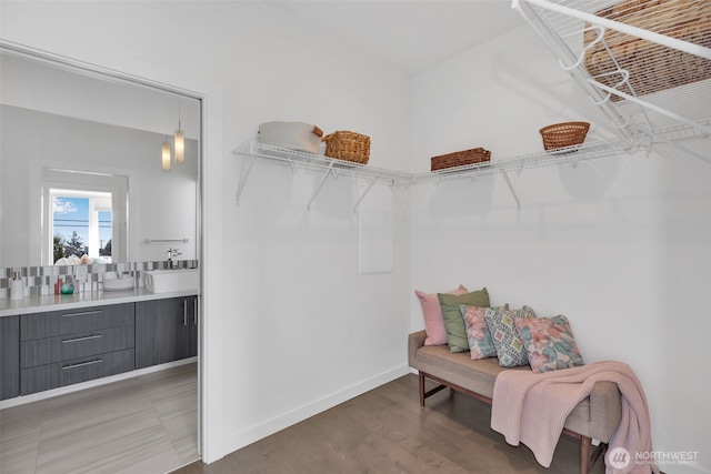 walk in closet with light wood-style floors