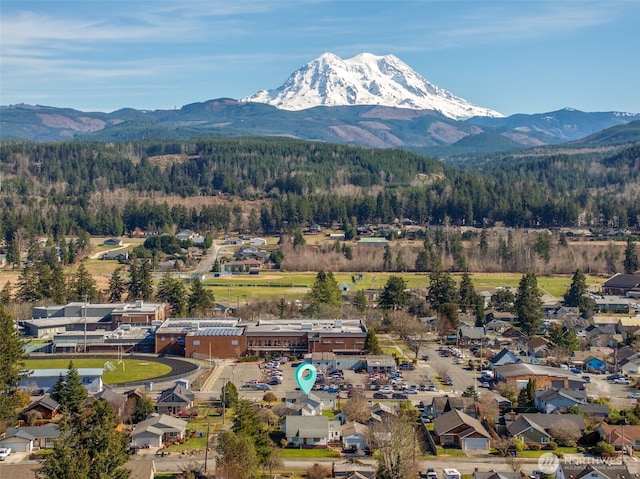 drone / aerial view with a mountain view and a view of trees