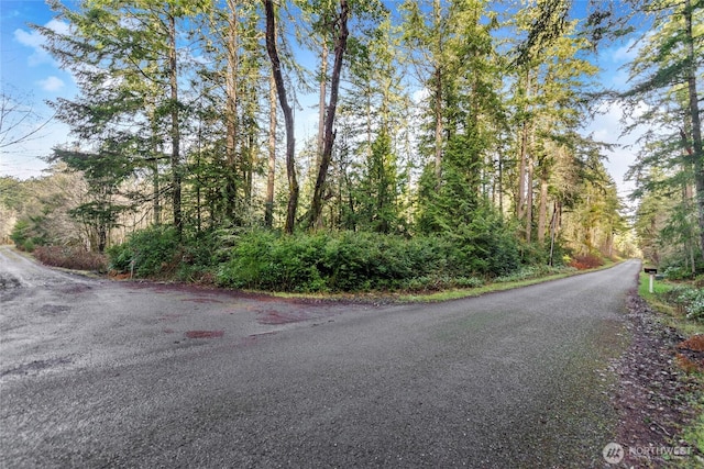 12605 84th Street Ct, Anderson Island WA, 98303 land for sale