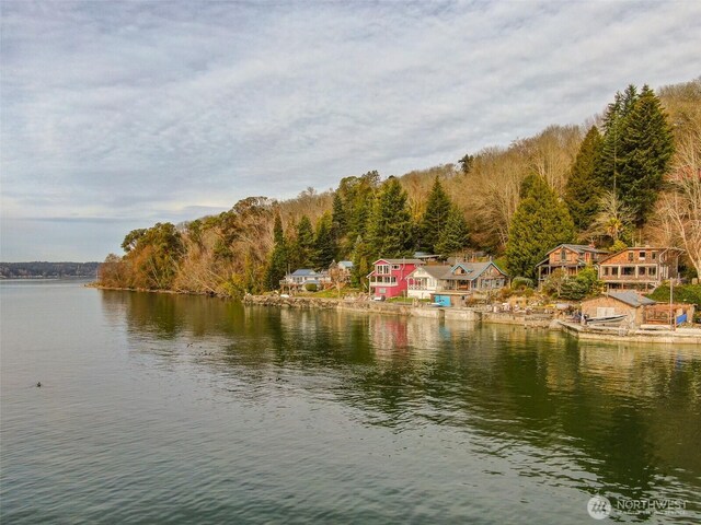 water view with a forest view