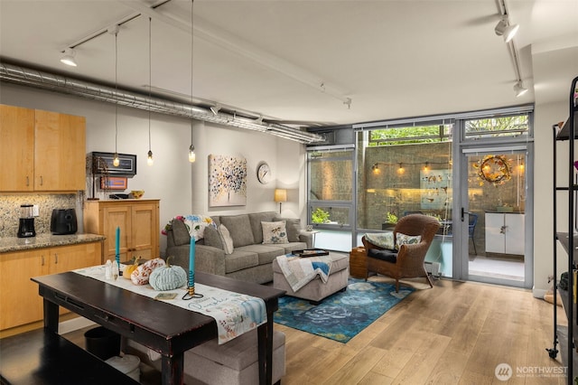 living area featuring light wood finished floors, floor to ceiling windows, and rail lighting