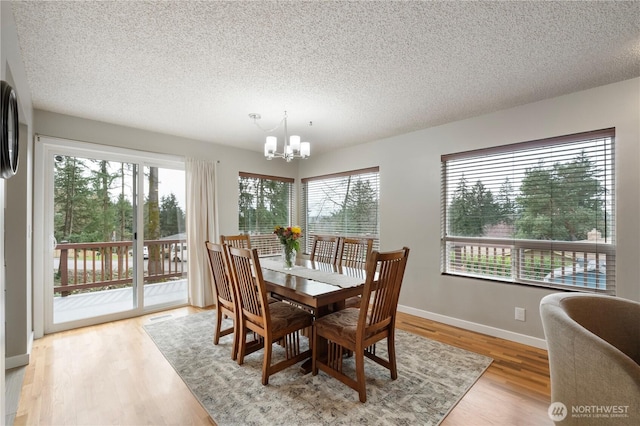 dining room featuring plenty of natural light, a notable chandelier, and light wood finished floors