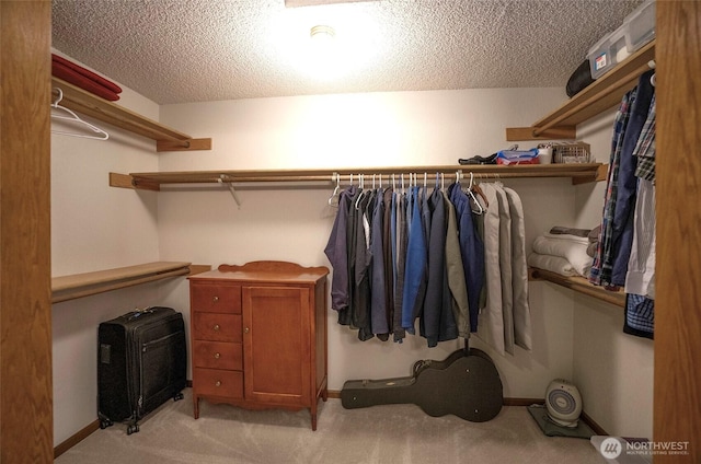 spacious closet with light colored carpet