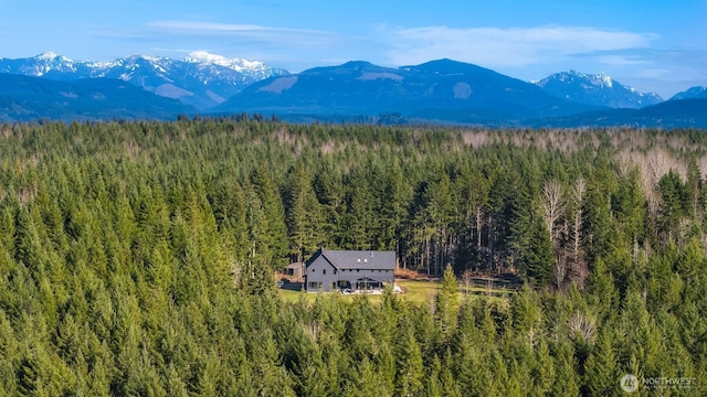 view of mountain feature featuring a wooded view