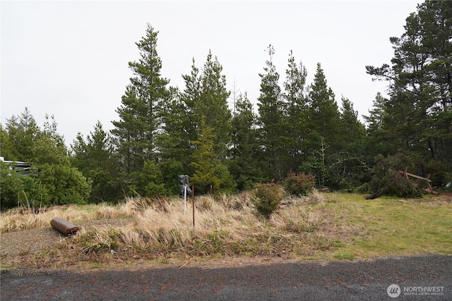 Listing photo 2 for 30208 J Pl, Ocean Park WA 98640