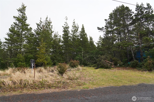 Listing photo 3 for 30208 J Pl, Ocean Park WA 98640