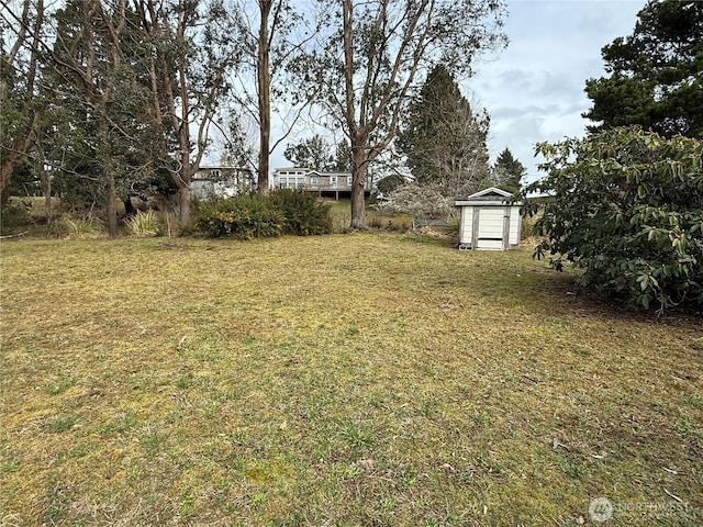 view of yard with an outbuilding