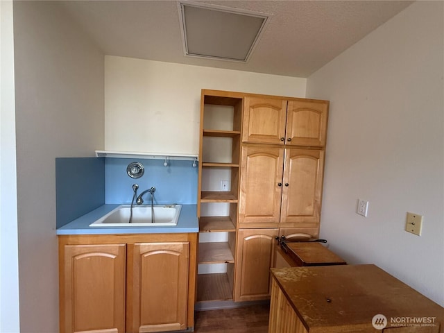 kitchen featuring dark wood-style floors, open shelves, and a sink