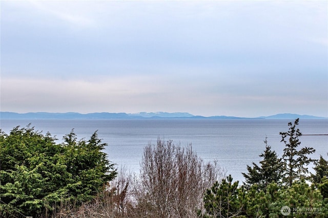 view of water feature with a mountain view