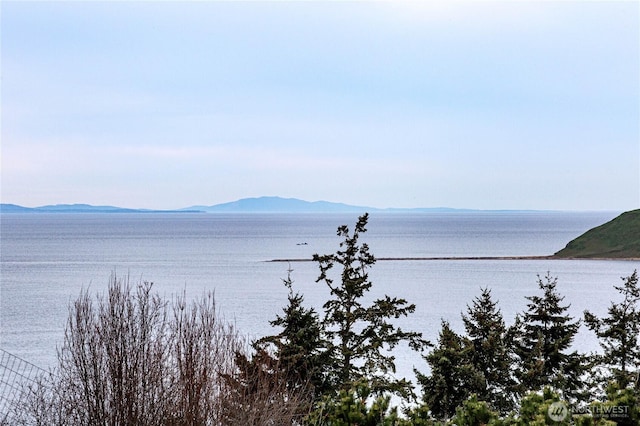 water view featuring a mountain view