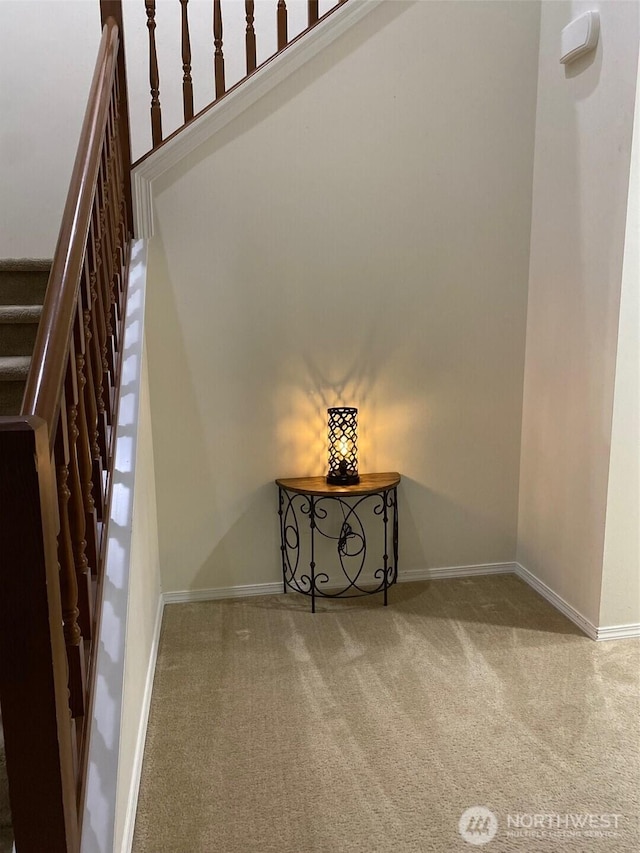 stairs featuring carpet and baseboards