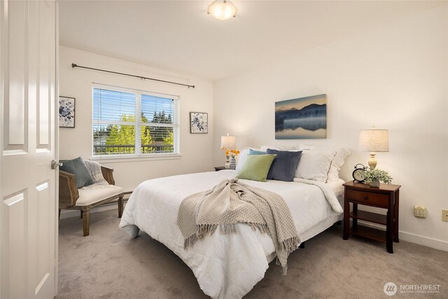 bedroom with carpet floors and baseboards