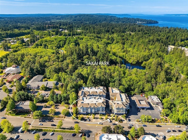 aerial view featuring a water view and a wooded view