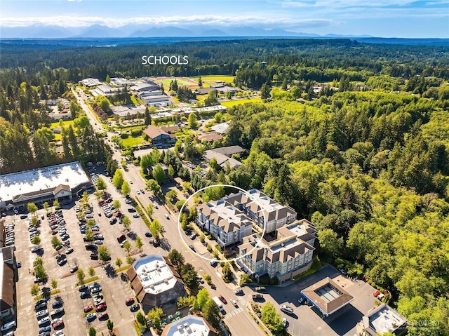 aerial view with a mountain view and a view of trees