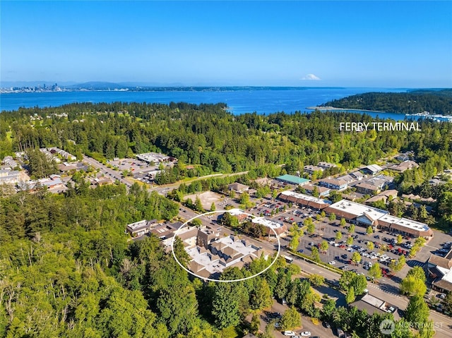 bird's eye view with a forest view and a water view