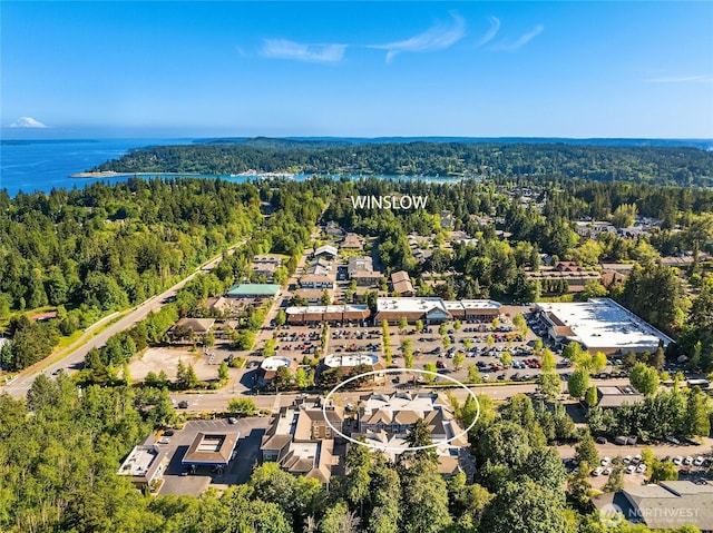 drone / aerial view with a water view and a wooded view