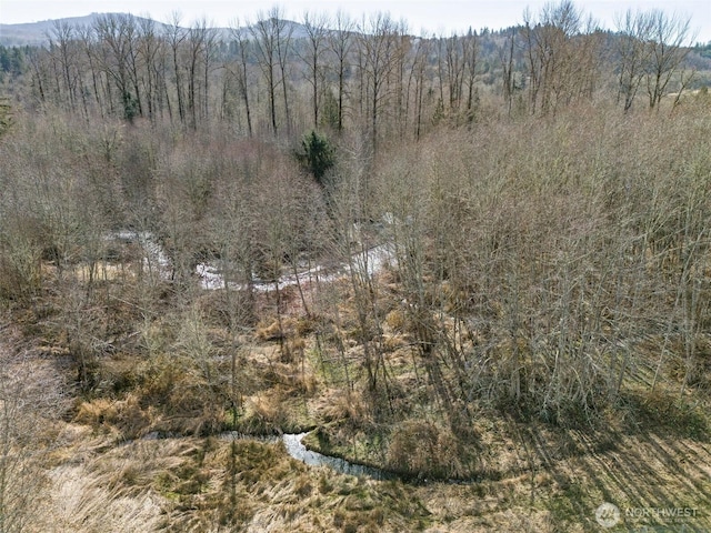 view of local wilderness featuring a wooded view