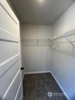 walk in closet featuring dark colored carpet