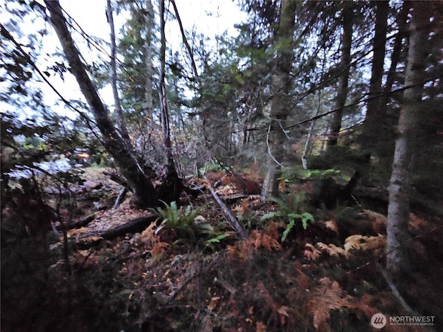 Listing photo 2 for 0 Ledgewood Beach Rd, Coupeville WA 98239