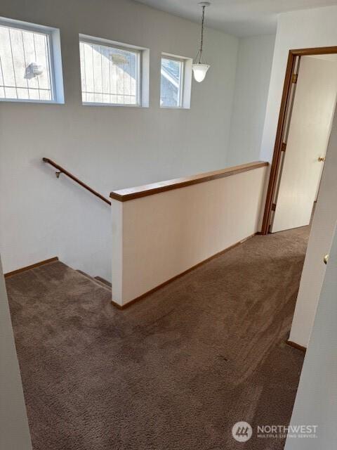 16081610 E 34th St Unit B, Tacoma, WA 98404 - staircase featuring baseboards and carpet