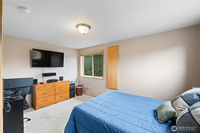 bedroom featuring light colored carpet