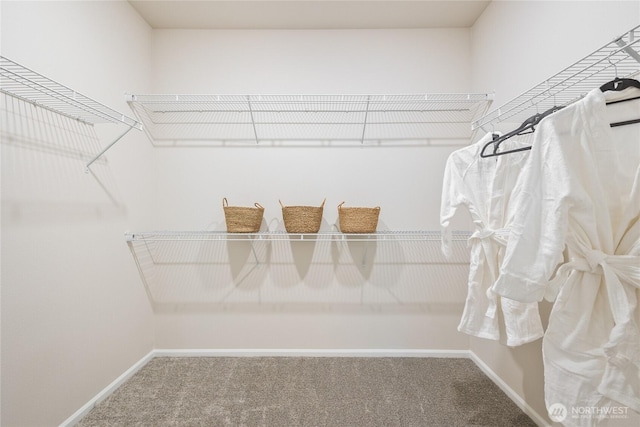 spacious closet with carpet