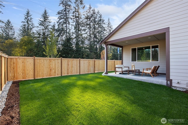 view of yard with a patio area and a fenced backyard