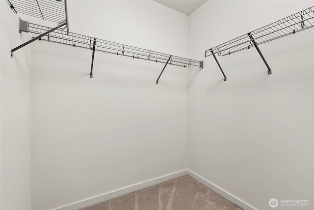 walk in closet with light colored carpet