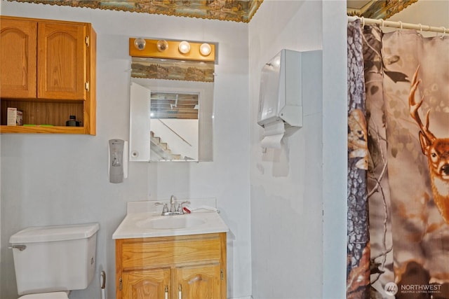 bathroom with toilet and vanity