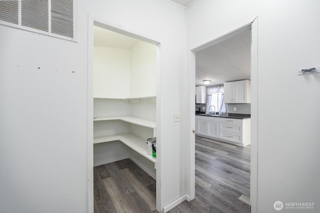 storage area with a sink and visible vents