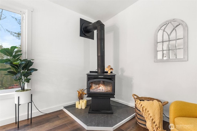 details with a wood stove, baseboards, and wood finished floors