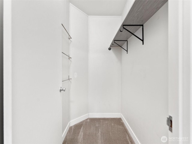 walk in closet featuring carpet floors