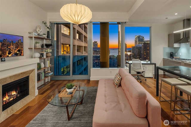 living room with a view of city, dark wood-style flooring, and a high end fireplace