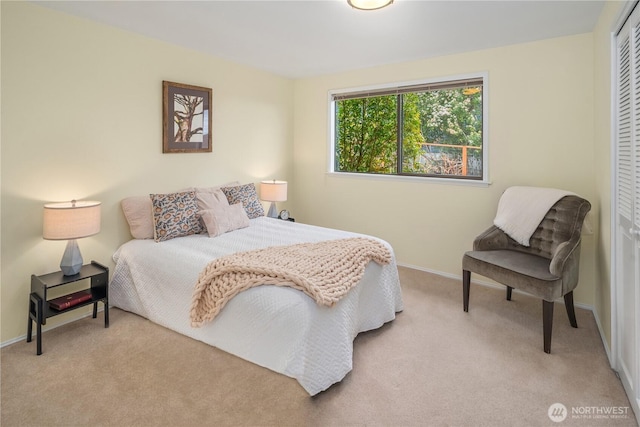 bedroom featuring carpet flooring, baseboards, and a closet