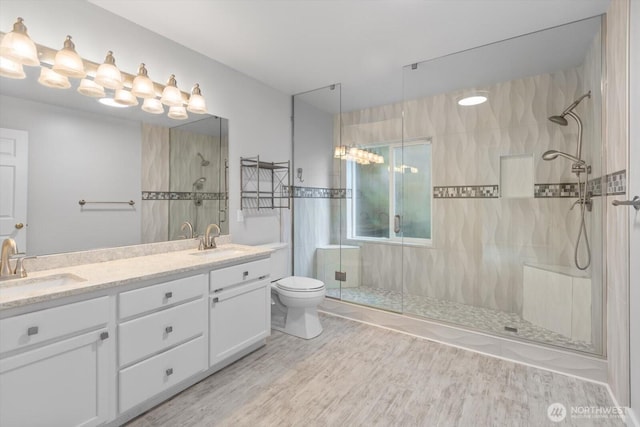 full bathroom with double vanity, a shower stall, toilet, and a sink