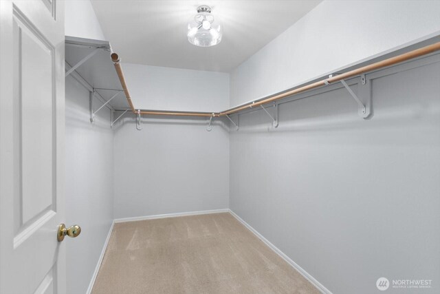 spacious closet with light colored carpet