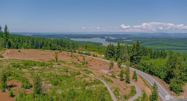 0 Silver Lake Rd, Castle Rock WA, 98611 land for sale