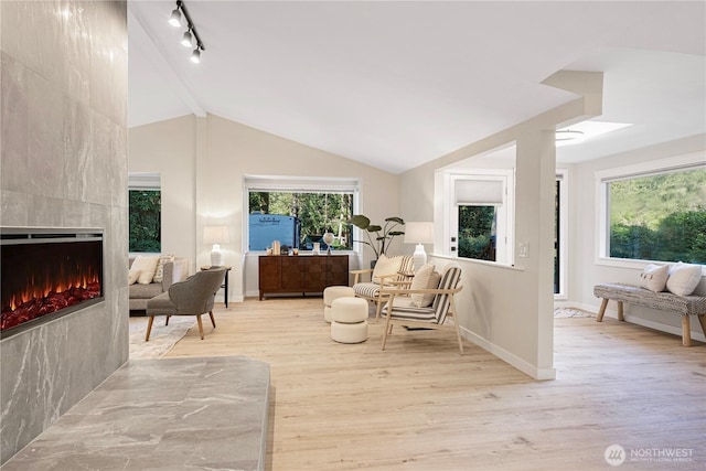 living area with lofted ceiling, a fireplace, wood finished floors, and a wealth of natural light