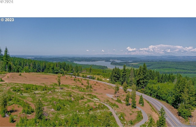 drone / aerial view featuring a water view and a wooded view