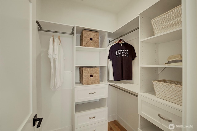 walk in closet featuring wood finished floors