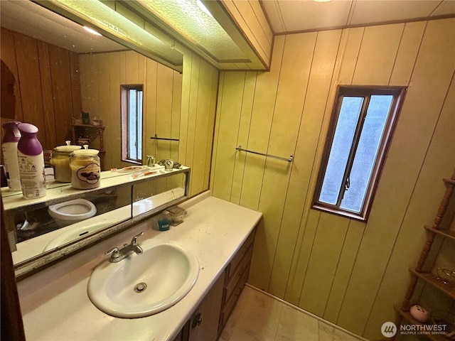 bathroom with wood walls and vanity