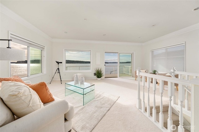 living room with light carpet and ornamental molding