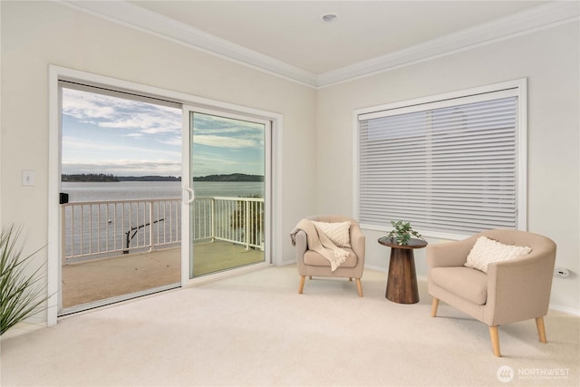 sitting room featuring carpet floors and crown molding