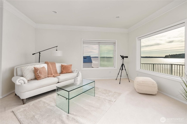 living area featuring baseboards, carpet floors, and ornamental molding