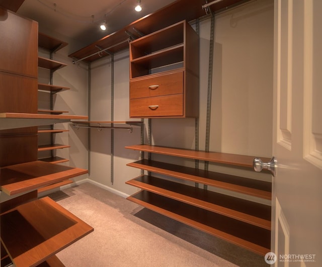 spacious closet with carpet floors