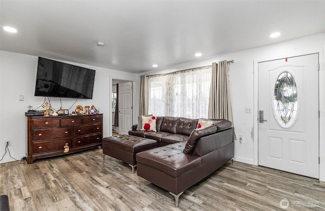 living area with wood finished floors and recessed lighting