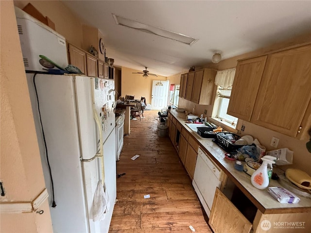 kitchen featuring white appliances, light wood finished floors, and a sink