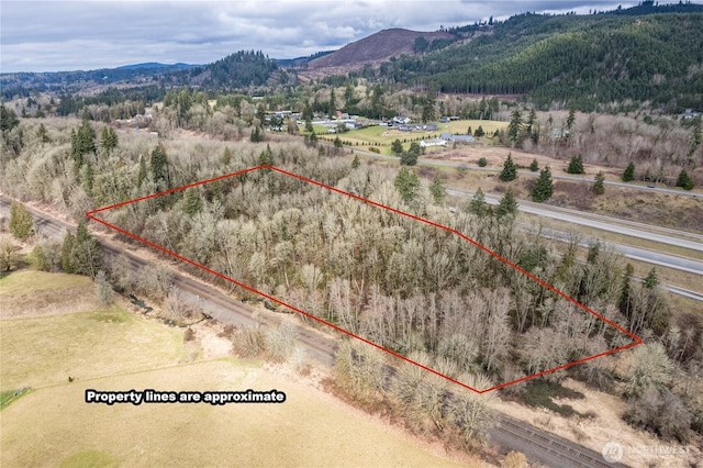 0 Huntington Ave, Castle Rock WA, 98611 land for sale